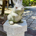 IMG_20260416_132622x