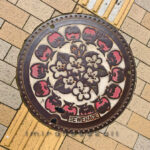 IMG_20260417_171124x