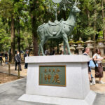 IMG_20260418_122933x