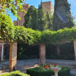 IMG_20260519_103223